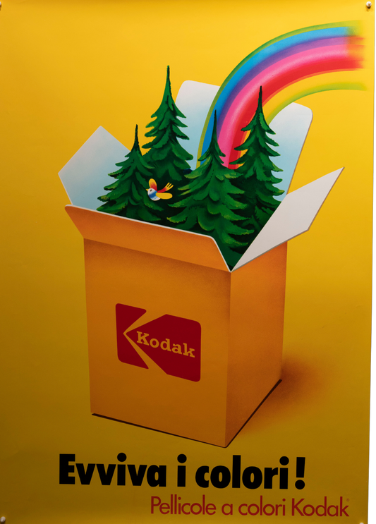 Kodak Forest