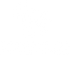 Purple Zebra Gallery