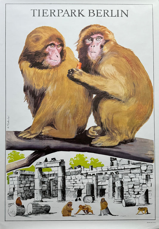 Tierpark Berlin - Monkeys