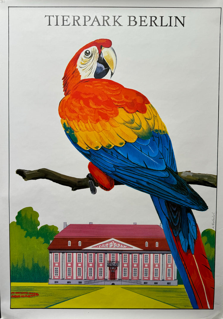 Tierpark Berlin - Parrot